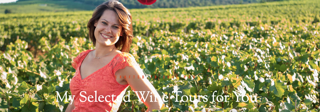 Burgundy Wine Tour by Sonia Guyon