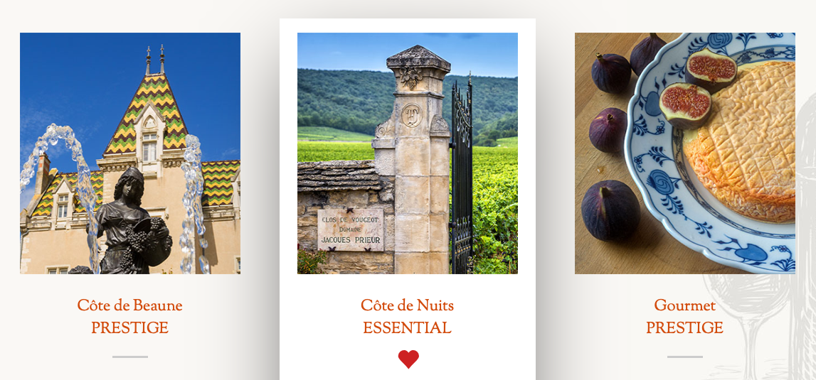 Excursion viticole en Bourgogne